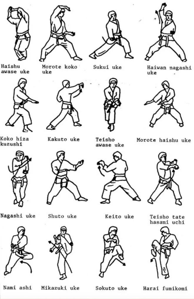 Tecniche di karate